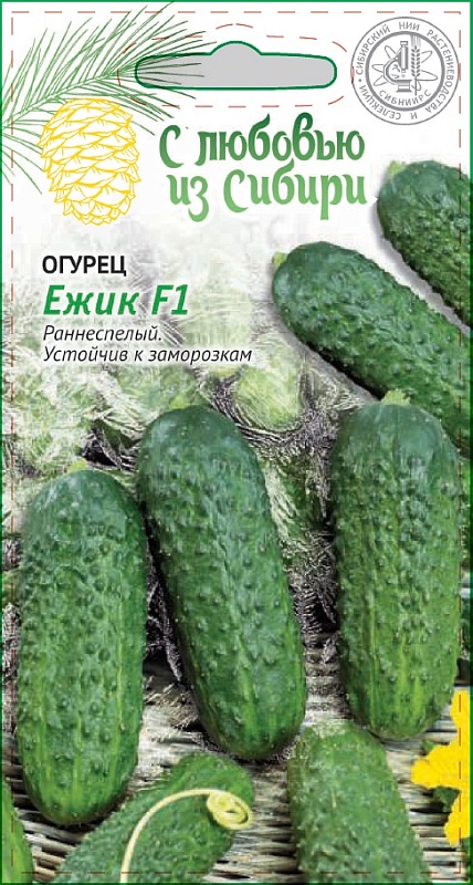 Огурец Ежик F1 0,25г цв.п (Сибирская серия)